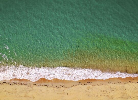 Waves lapping against a beach